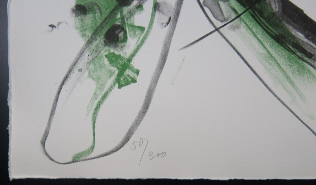 Ger Lataster: Litho, Z.T. kopen? Bied vanaf 100!