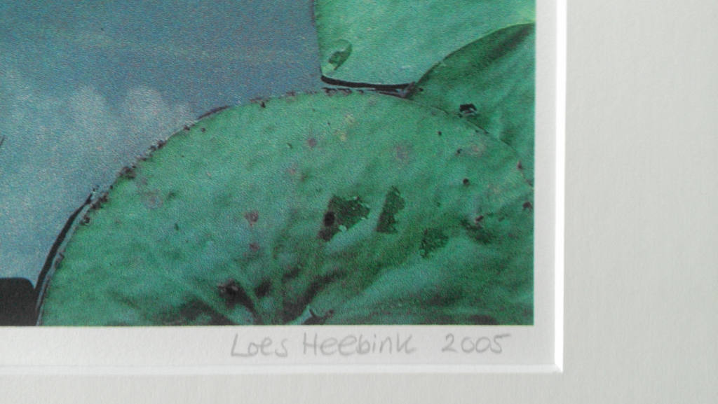 Waterspiegel kopen? Bied vanaf 25!