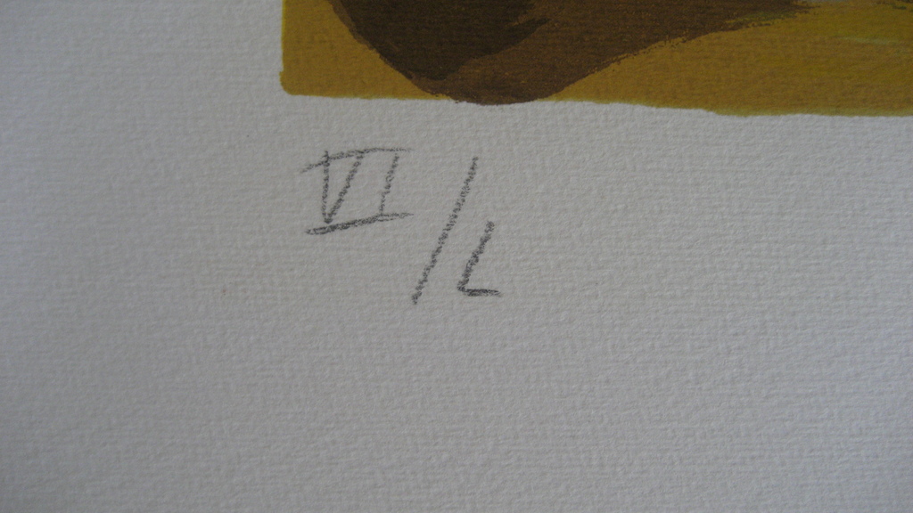 Wolvecamp Theo - Handgesigneerde zeefdruk - Abstracte compositie - VI / L ex. kopen? Bied vanaf 225!