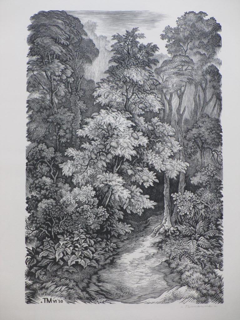 Thijs Mauve, Boslandschap, Houtgravure verkocht voor € 45!