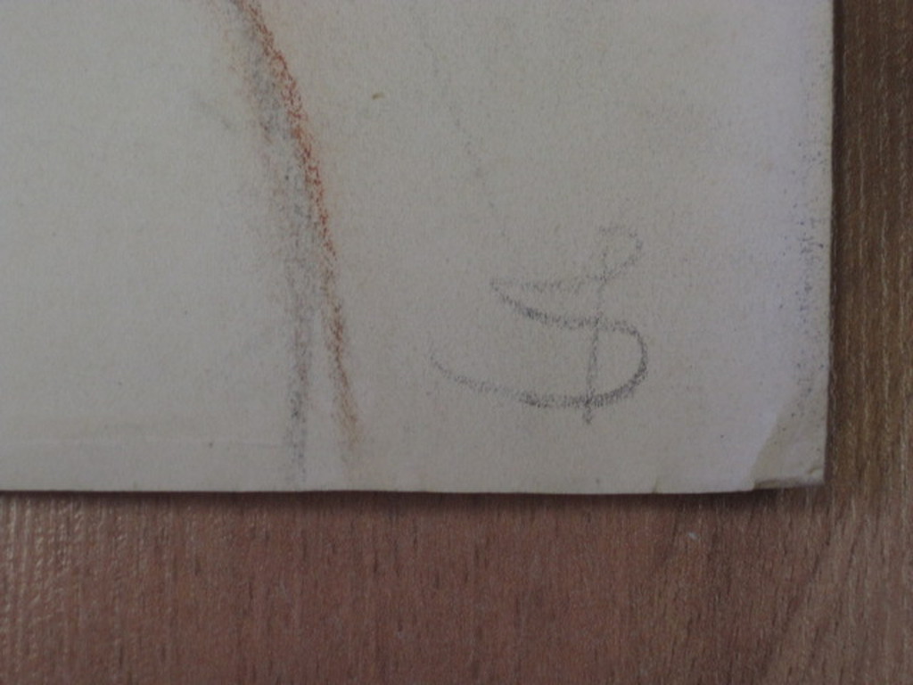 Frits Schiller 1886-1971 - "vrouwelijk naakt" roodkrijttekening 1930 gesigneerd kopen? Bied vanaf 1!