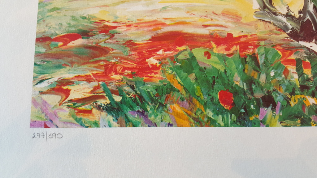 MARCEL BELVISI - FELSENDORF IN BLÜHENDER LANDSCHAFT, grote litho, handgesigneerd kopen? Bied vanaf 1!