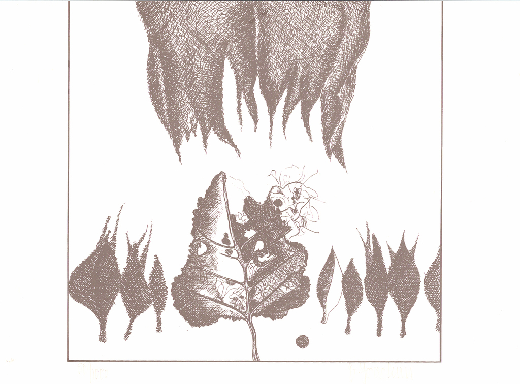 Ernes Joachim - Herfst - Gesigneerde zeefdruk - 1987 kopen? Bied vanaf 10!