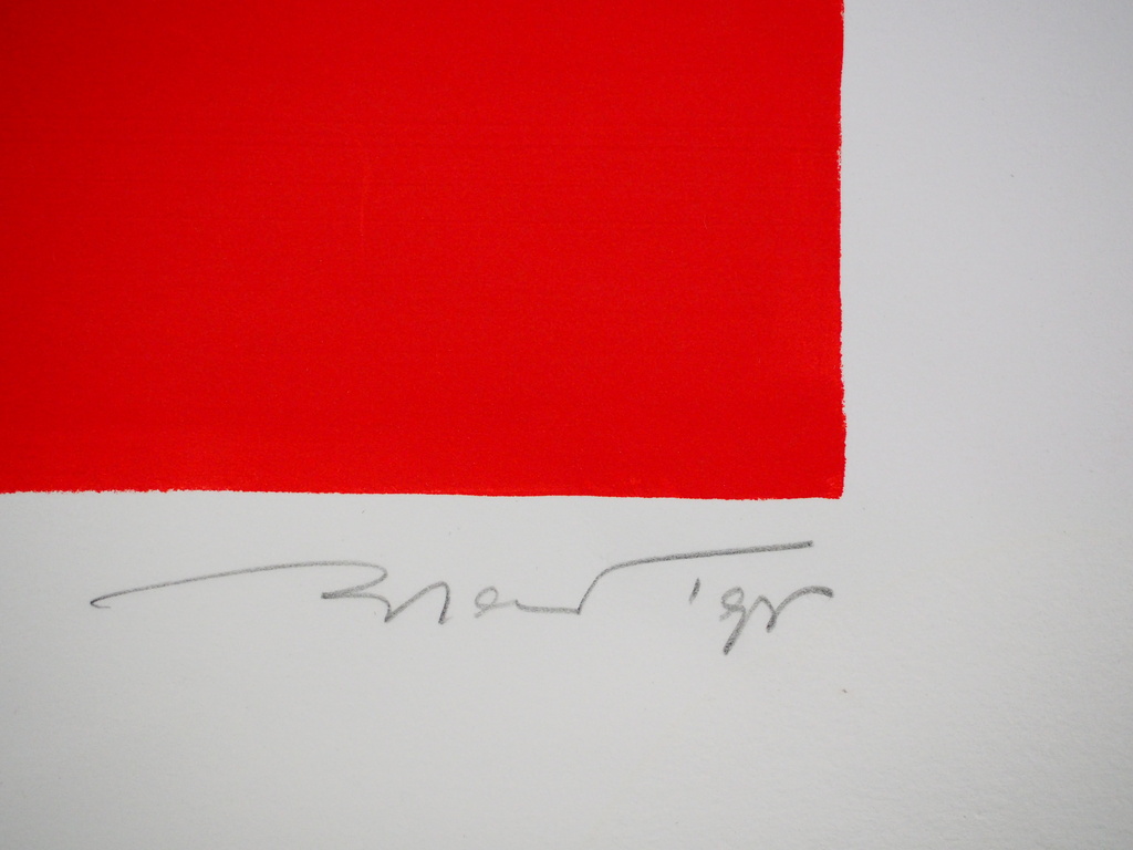 Willem Brauck: Zeefdruk, zonder titel kopen? Bied vanaf 20!