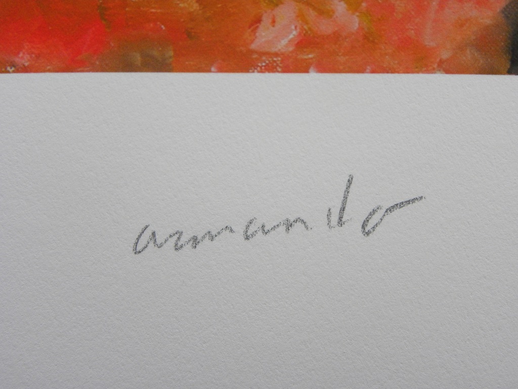 Fundstück (zwart) - Handgesigneerde en genummerde giclee uit 2015 - NIEUWSTAAT kopen? Bied vanaf 200!