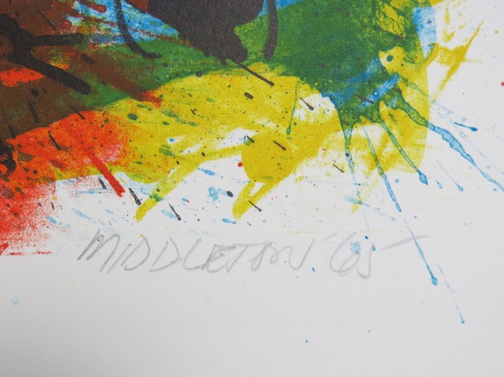 Sam Middleton: Kleurenlitho, Windswept kopen? Bied vanaf 50!