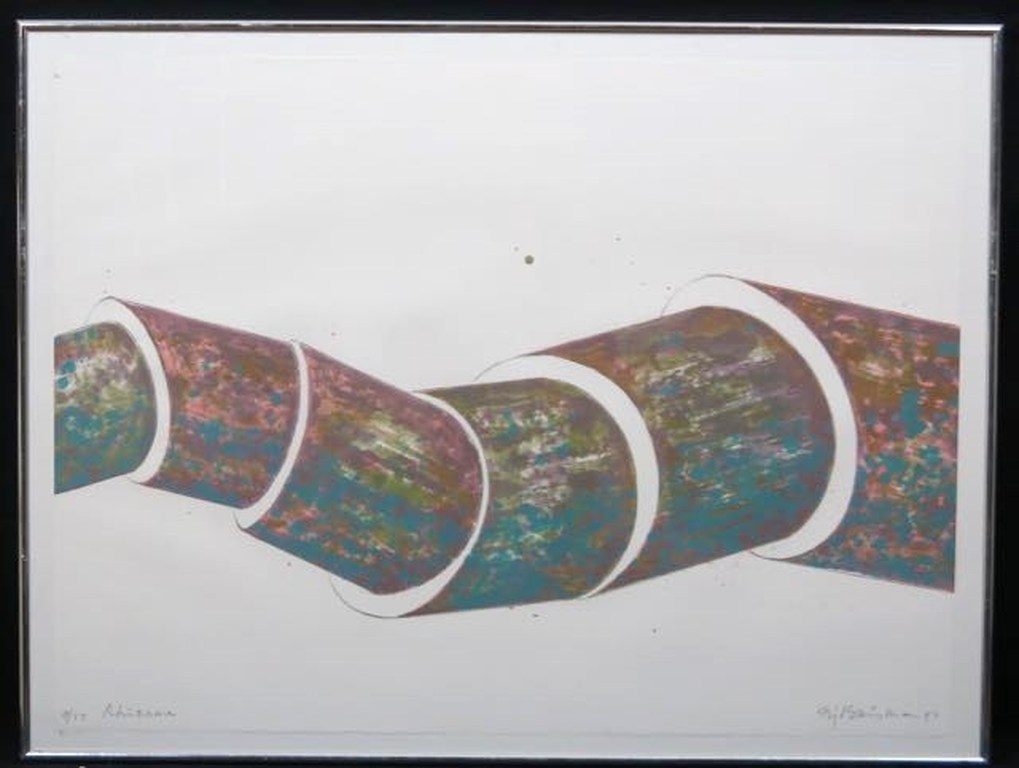 Sjoerd Buisman: Litho, Rhizome - Ingelijst verkocht voor € 50!