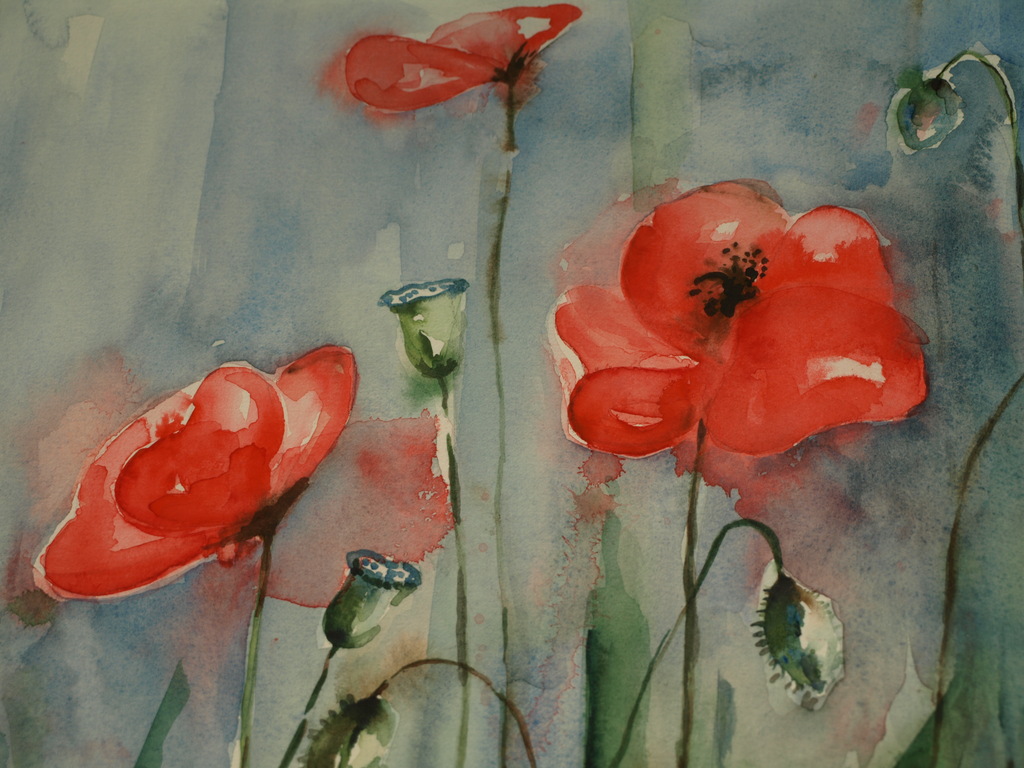 Jenneke van Ravenswaay – Aquarel – Klaprozen –Gesigneerd & ingelijst – ca 1995 kopen? Bied vanaf 1!