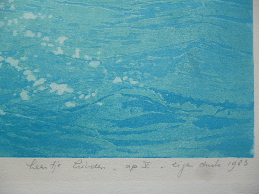 Leentje Linders - kleurenets - Water and sky I kopen? Bied vanaf 40!