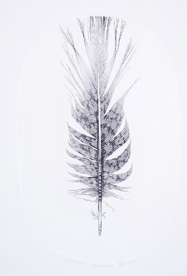 Gerard van Rooij: Mooie ets van een fazantveer. In Ovaal. verkocht voor € 70!