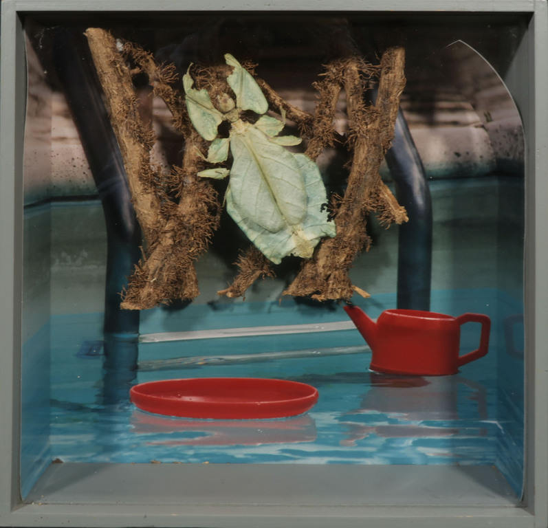 Pamela Schellekens: Gemengde techniek, wandelend blad, Onweerstaan.. - Ingelijst verkocht voor € 35!