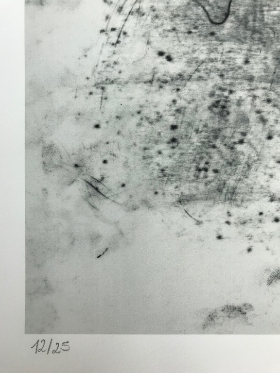 Hans Georg Adochi - Mooie litho - 12/25 kopen? Bied vanaf 1!