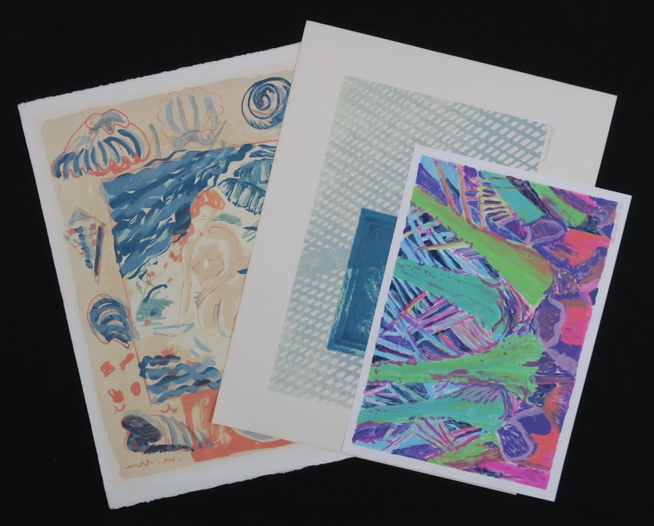 Lot met 3 werken: o.a. Rieneke Boonman, Litho, Z.T. kopen? Bied vanaf 1!
