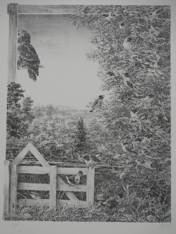 Peter Vos, Verte, Litho verkocht voor € 160!