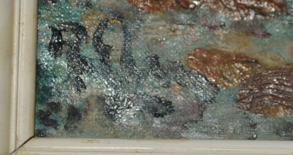 Kust van Bretagne kopen? Bied vanaf 800!