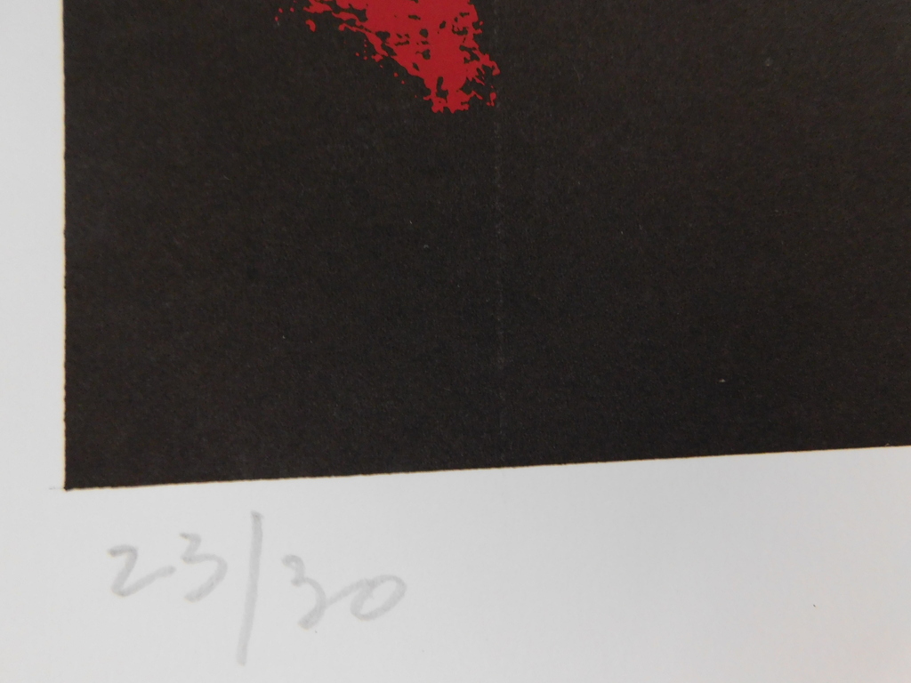 Dees de Bruyne - Kleurenlitho - Homme à la Veste Rouge kopen? Bied vanaf 50!