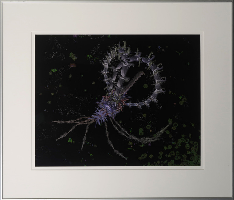 Jan van Nuenen: Lambdaprint, Transformation - Ingelijst kopen? Bied vanaf 1!