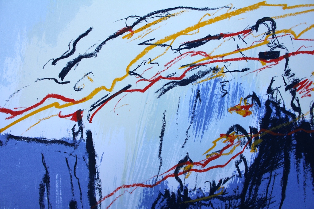 JOHANN VAN DEN NOORT (1940), Zeefdruk, Birds on the Farnes kopen? Bied vanaf 99!