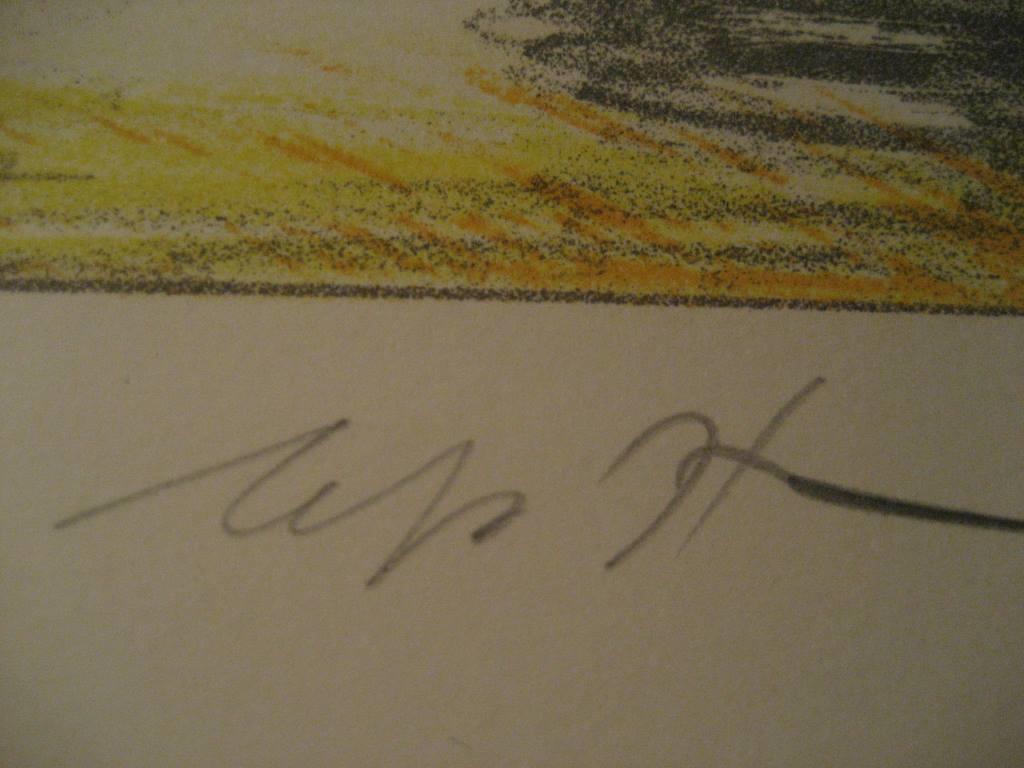 Hannes Postma Kleurenlitho uit 190 serie kopen? Bied vanaf 35!