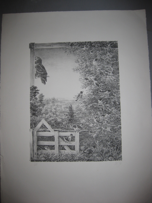 Litho - Peter Vos voor Prent 190 - Getiteld Verte - 1976 kopen? Bied vanaf 80!