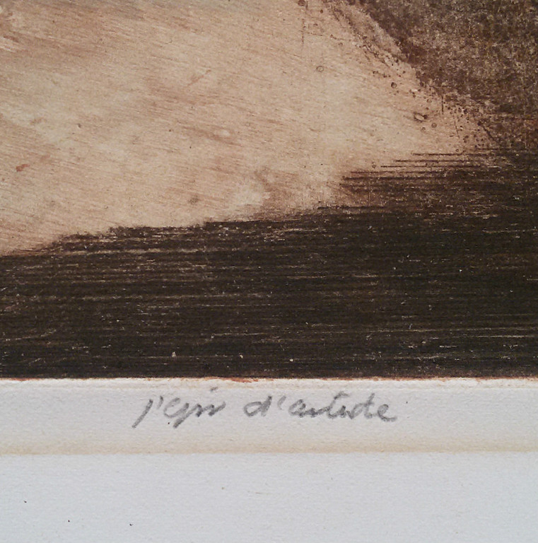 Ru van Rossem - Camargue, aquatint ets met reliëfdruk kopen? Bied vanaf 175!