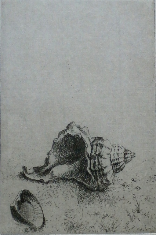 Dick van Luijn - ets: Schelpen kopen? Bied vanaf 40!