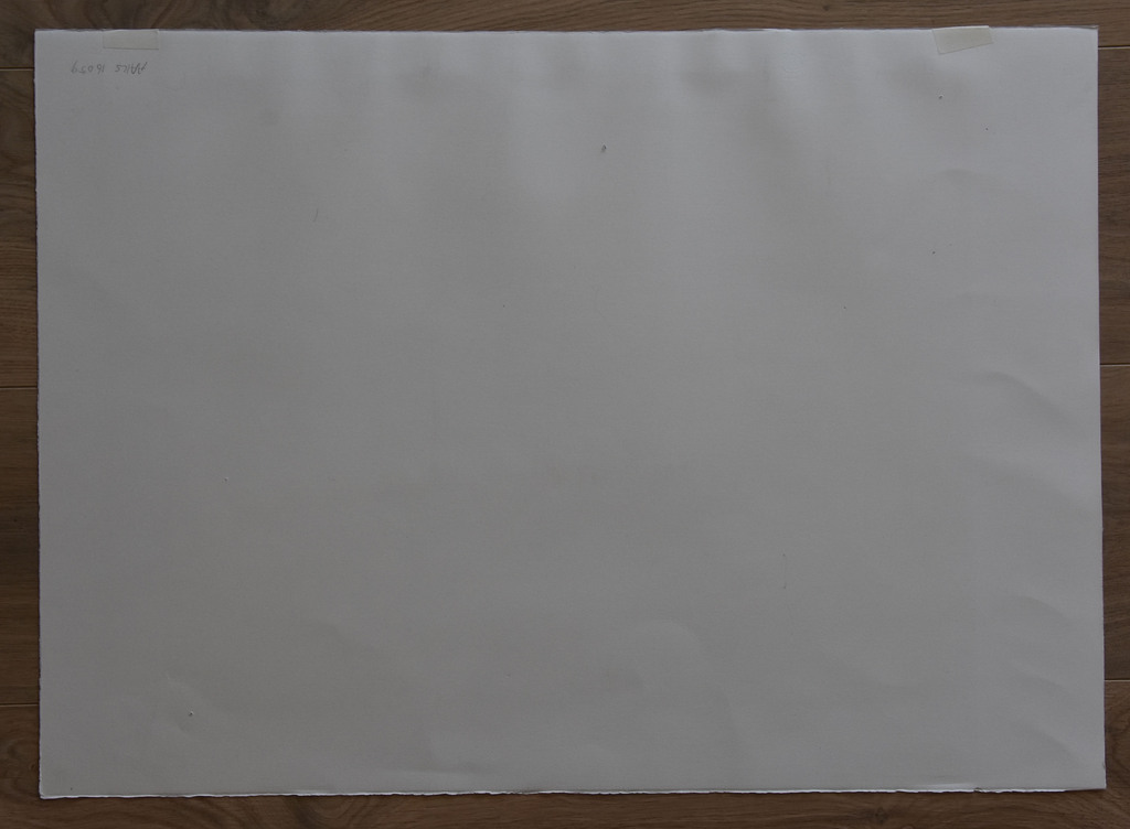 Fenneke van der Elst - Fenneke van der Elst # HUIS MET TAFELLAKEN I #oplage 12, genummerd/gesigneerd kopen? Bied vanaf 35!