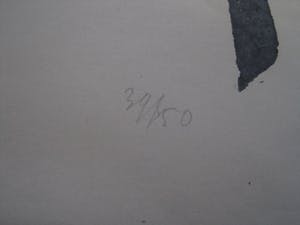 Andre van der Vossen - Andre v/d Vossen 1893-1963 gesigneerde houtsnede 39/50 voor "Creatie" 1952 kopen? Bied vanaf 1!