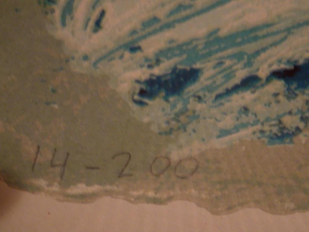 Jan van Diemen Kleurenzeefdruk Schaatser kopen? Bied vanaf 50!