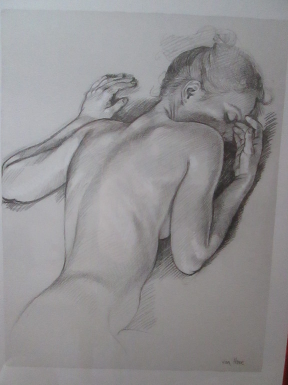 mooi werk van francine van hove let op dit is origineel werk . verkocht voor € 60!