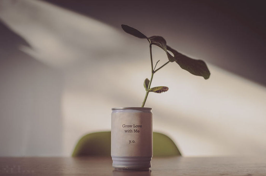 Yoko Ono - Grow Love with Me  kopen? Bied vanaf 100!