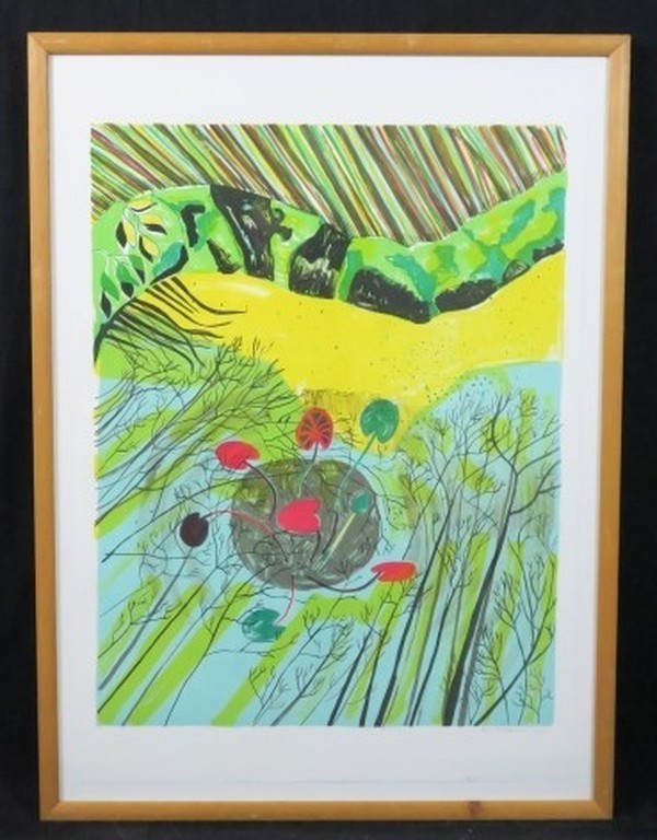 Dorian Hiethaar: Litho, Vijver - Ingelijst kopen? Bied vanaf 1!