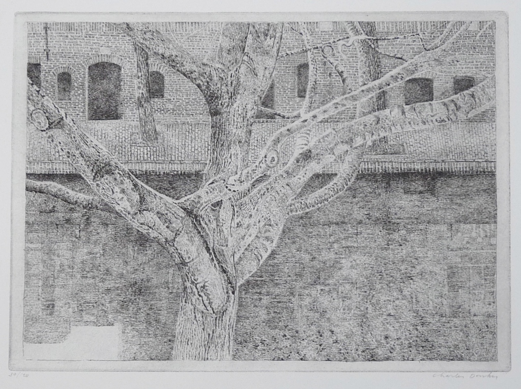 Charles Donker, Ets, Boom aan gracht  kopen? Bied vanaf 90!