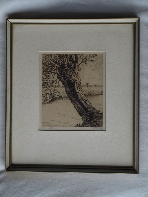 Dirk Harting (1884–1970) : Ets – Knotwilg – Gesigneerd & ingelijst – ca 1935 kopen? Bied vanaf 1!
