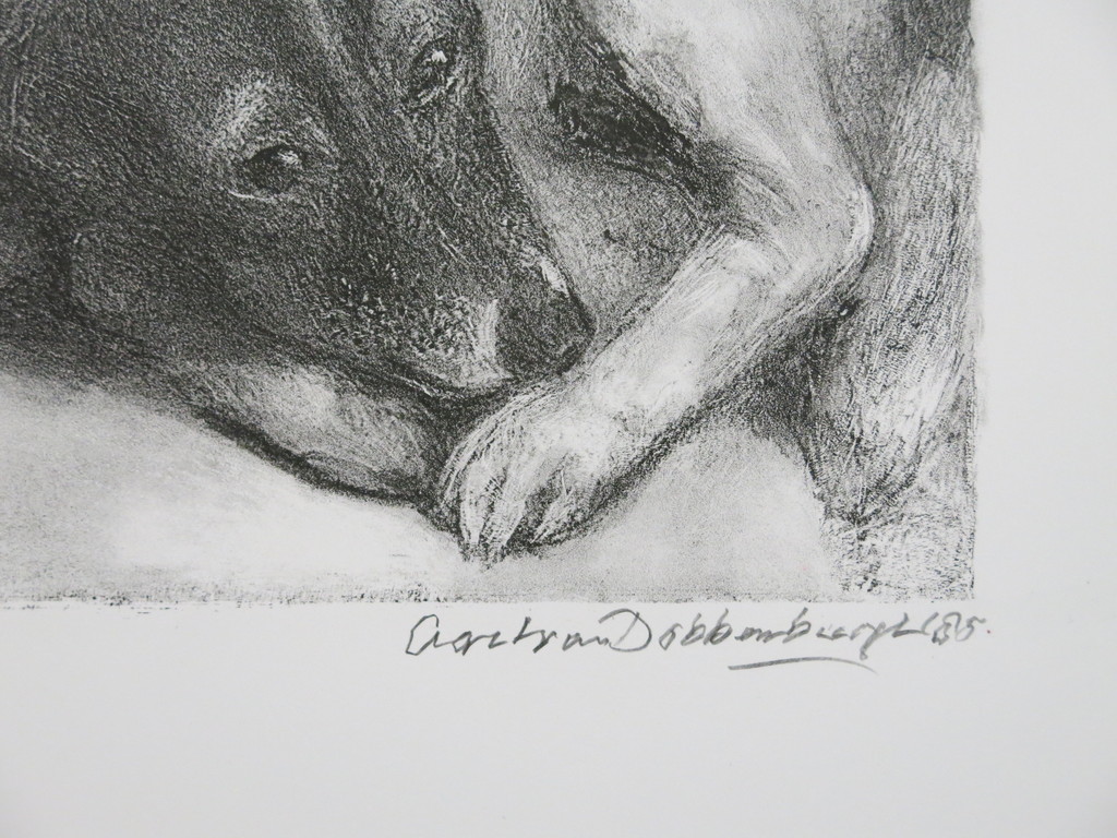 Aart van Dobbenburgh: Litho, Hond kopen? Bied vanaf 1!