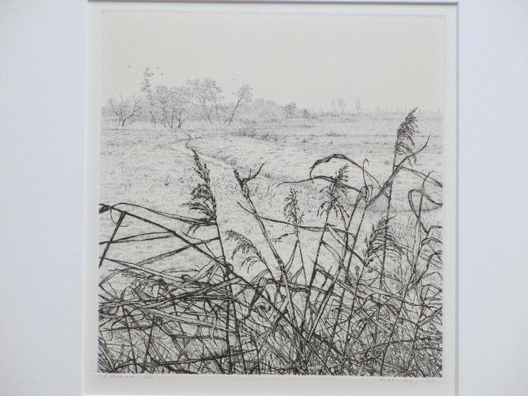 Reinder Homan, Landschap met riet in polder, Ets kopen? Bied vanaf 80!
