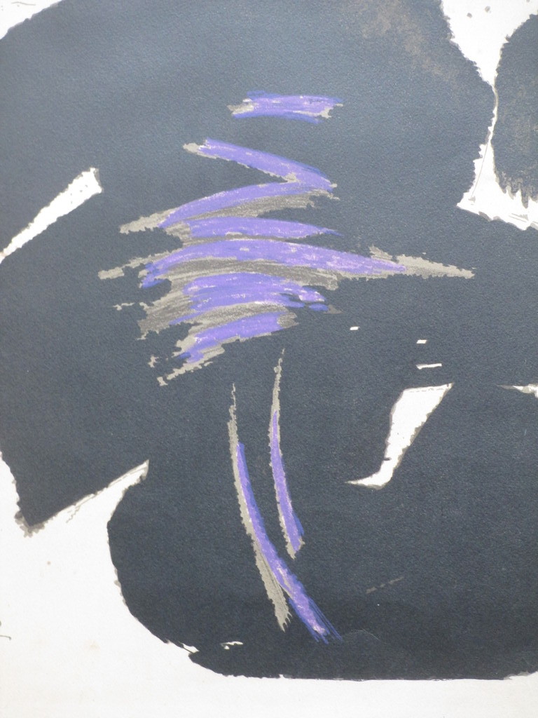 Onbekend, Van der Vet?, Roofvogelachtig Wezen, Kleurlitho kopen? Bied vanaf 1!