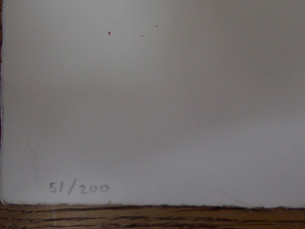 Litho van Karin Bos uit 2003. kopen? Bied vanaf 1!