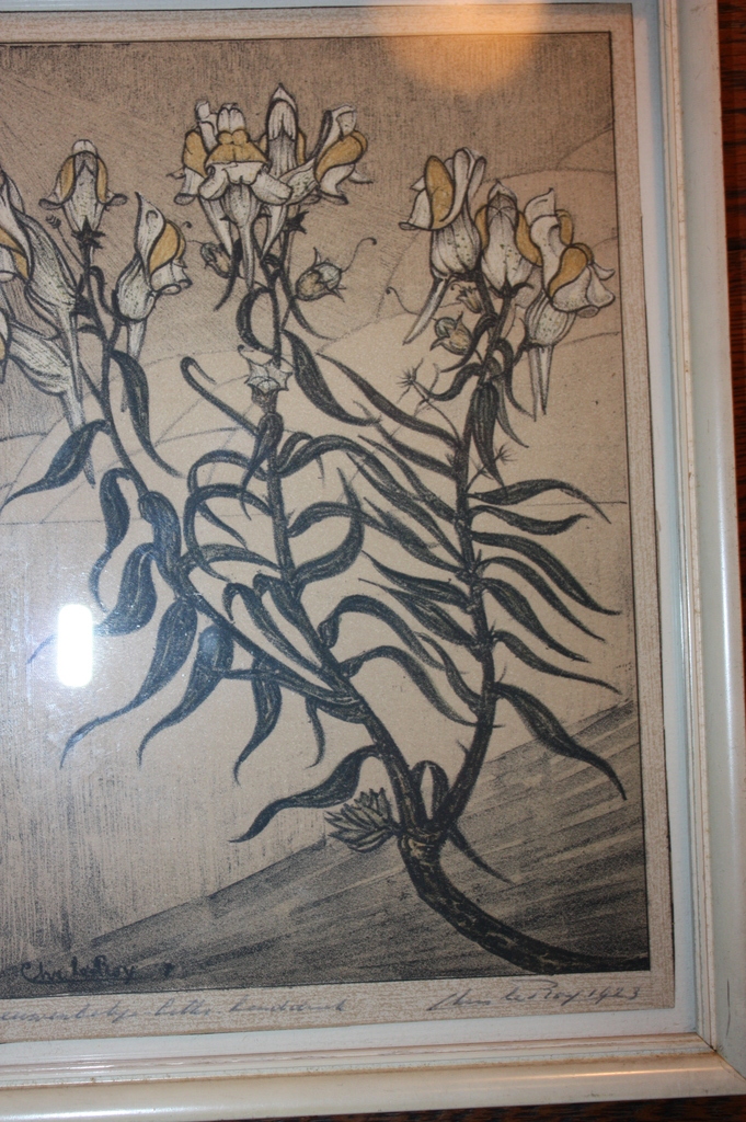 Leeuwenbekje Litho handdruk 1923 kopen? Bied vanaf 55!