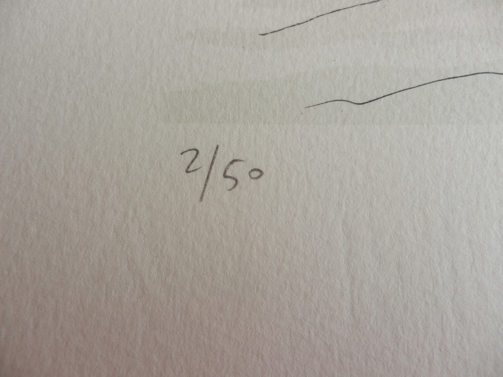 VINCENT HADDELSEY(1934-2010)  HORSE RIDING IN WINTER  Litho  Handgesigneerd kopen? Bied vanaf 125!