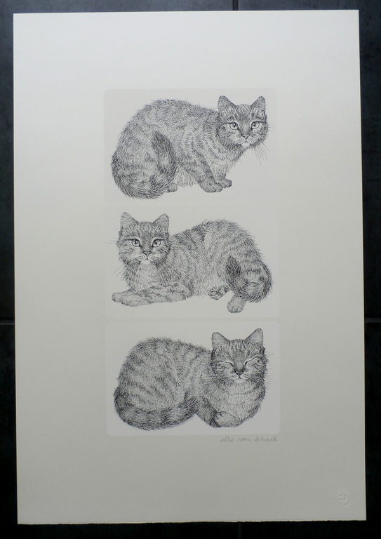 Ella van Schaik - zeefdruk: poes (3 afbeeldingen) kopen? Bied vanaf 45!