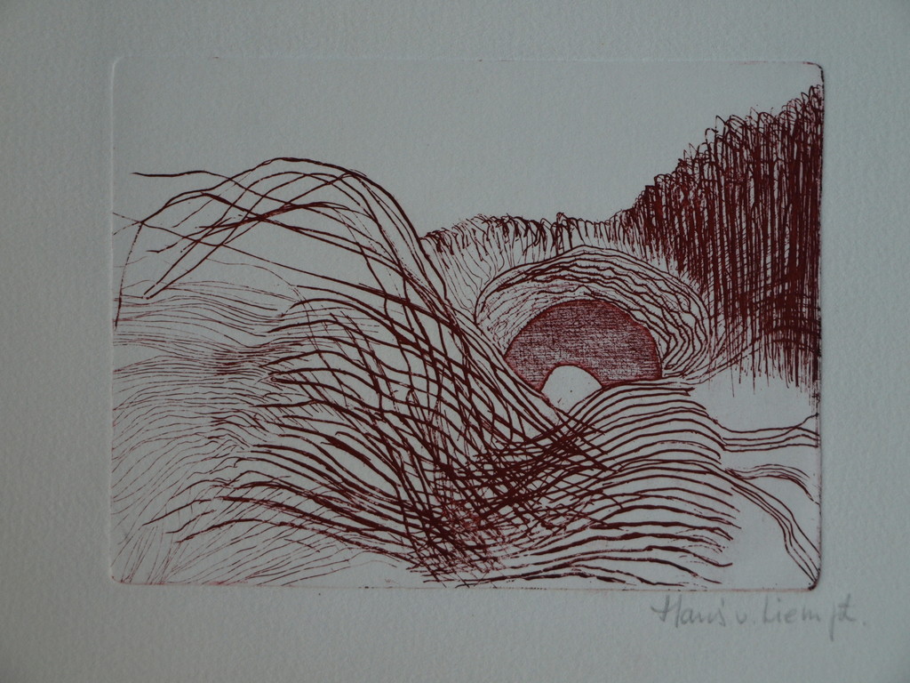 Hans van Liempt : Ets – Landschap – gesigneerd  kopen? Bied vanaf 1!