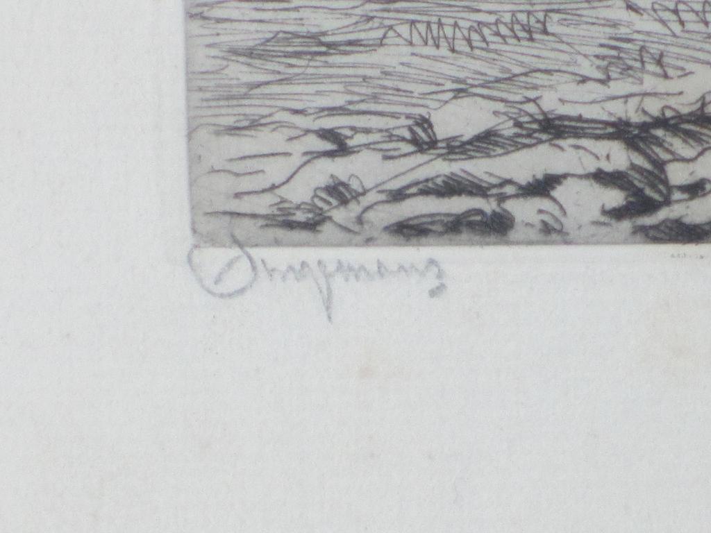 Waalco Jans Dingemans, Ploegende paarden, Ets 1906 kopen? Bied vanaf 50!