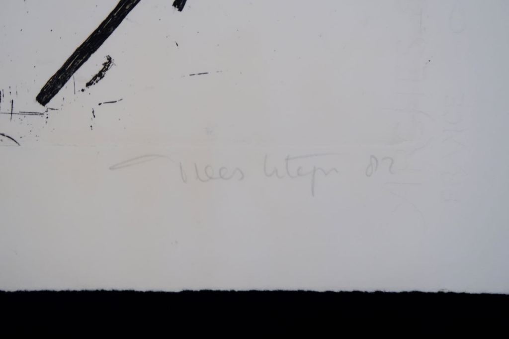 Trees Klijn: Ets, Coco dreams and female blues II kopen? Bied vanaf 1!
