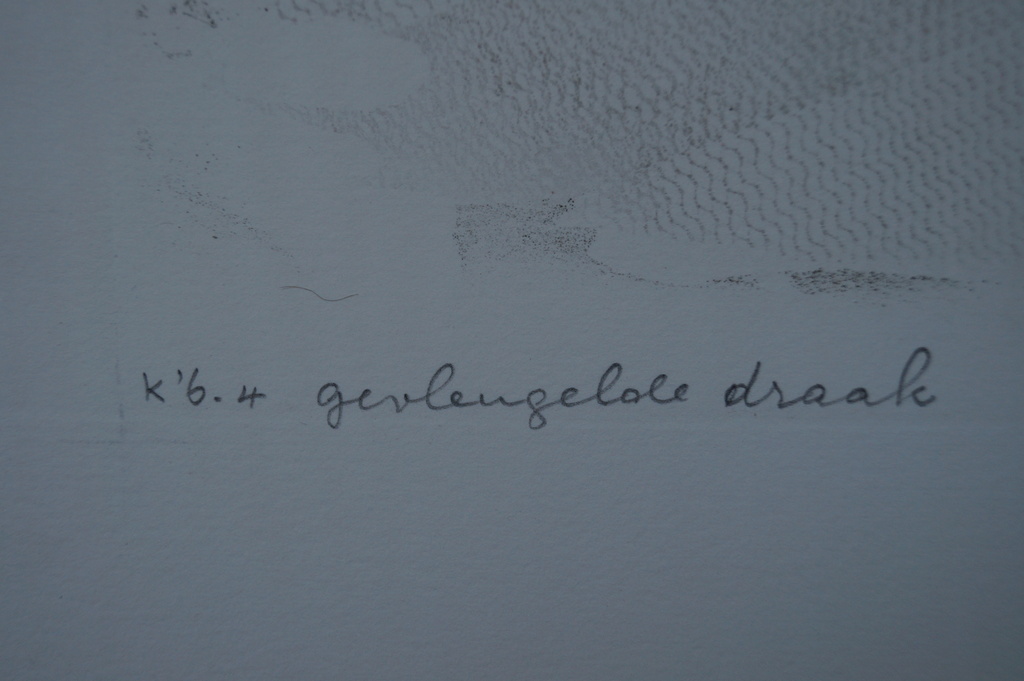 Armien Visser - gesigneerde ets - "gevleugelde draak" kopen? Bied vanaf 1!