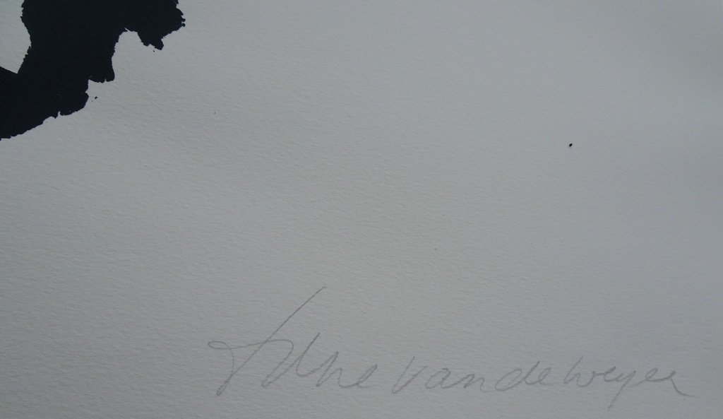 Tine van de Weijer Kleurenzeefdruk kopen? Bied vanaf 1!