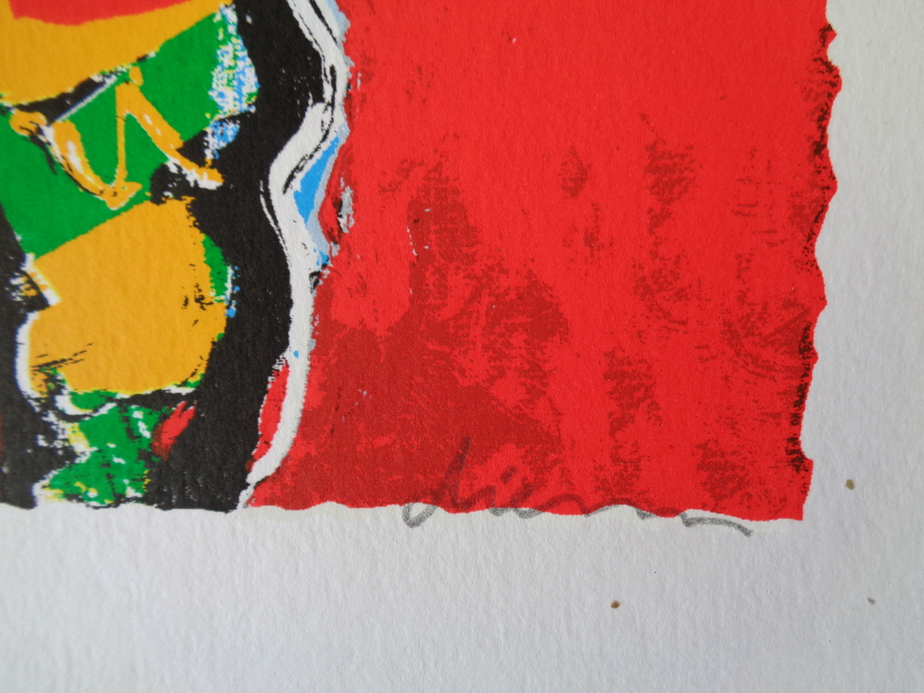 Peter Diem zeefdrukken. kopen? Bied vanaf 50!