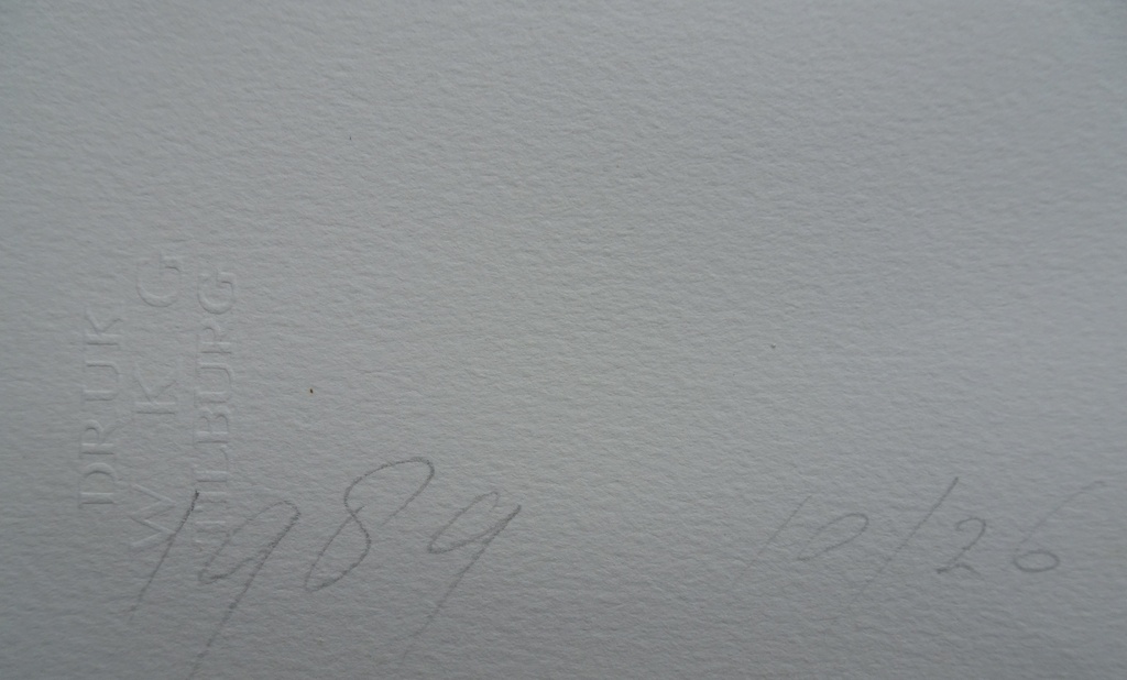 Tine van de Weijer Kleurenzeefdruk kopen? Bied vanaf 1!