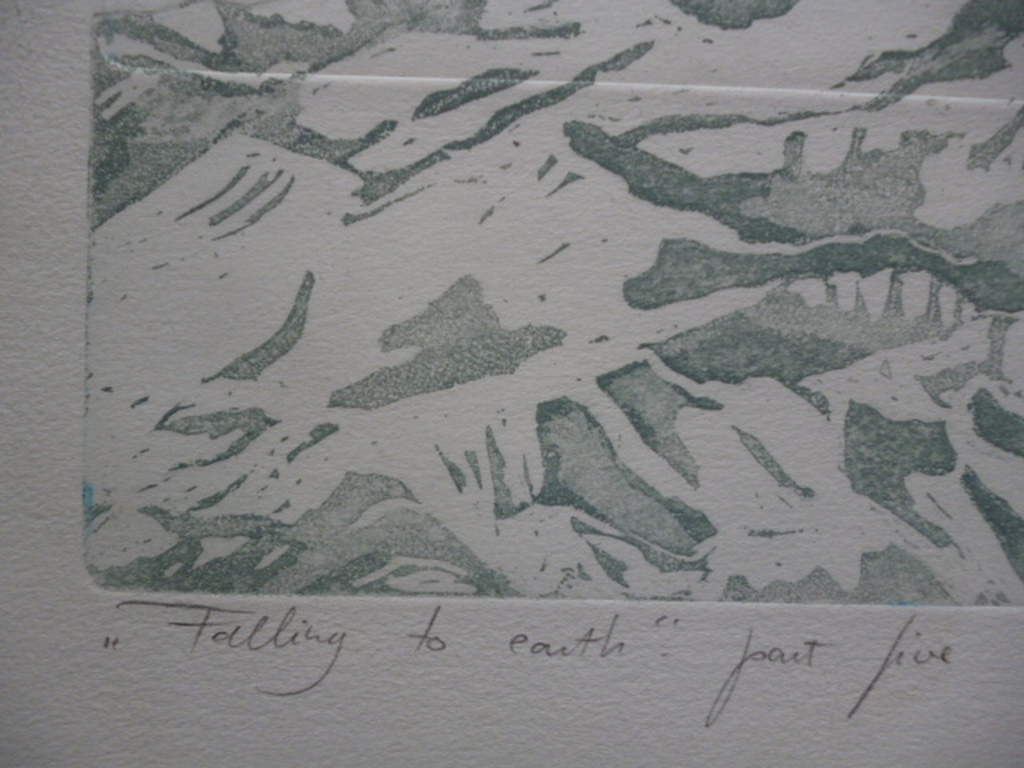 Leentje Linders - kleurenets - "Falling to earth part five"  kopen? Bied vanaf 40!