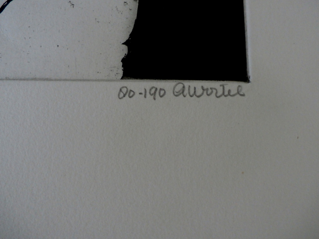 Ans Wortel - ets: Uitgangspunt voor vlinders  kopen? Bied vanaf 70!